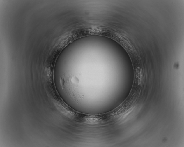 X0000096180614200801181314
