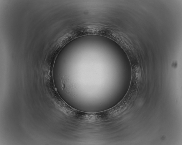 X0000096180615200801181314