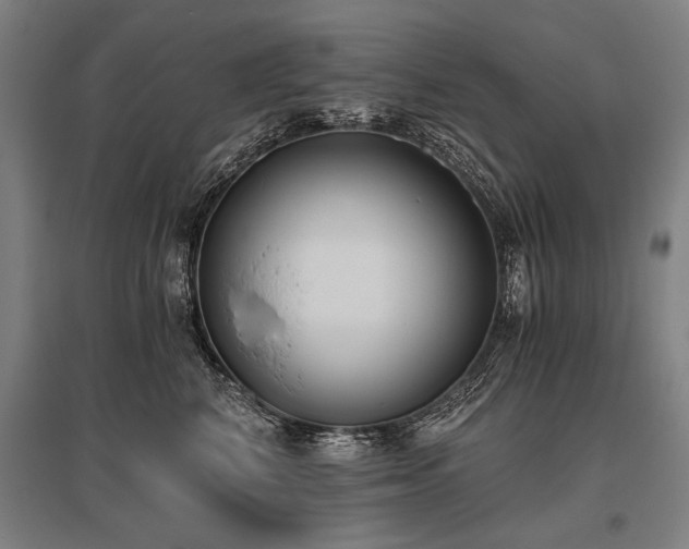 X0000096180616200801181314