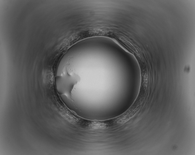 X0000096180617200801181314