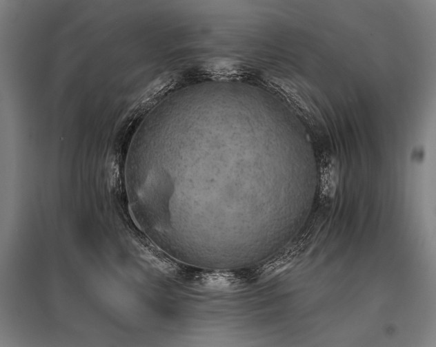 X0000096180618200801181314