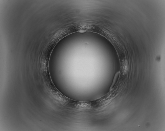 X0000096180619200801181314