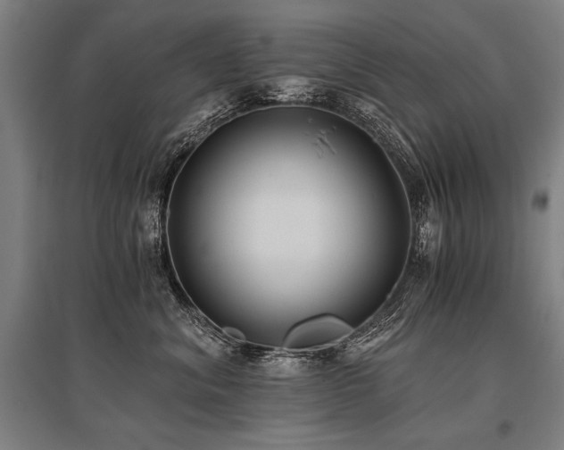 X0000096180620200801181313
