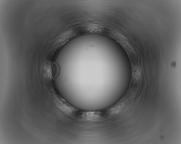 X0000096180622200801181313