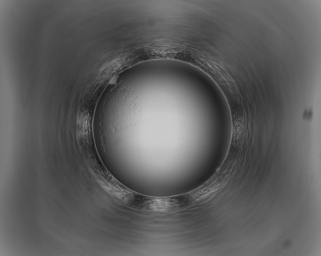 X0000096180623200801181313