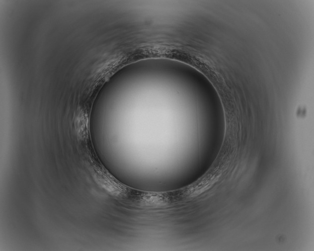 X0000096180624200801181313