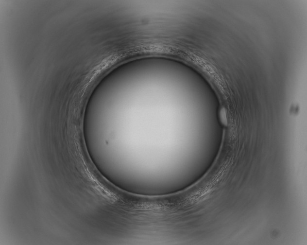 X0000096180625200801181313