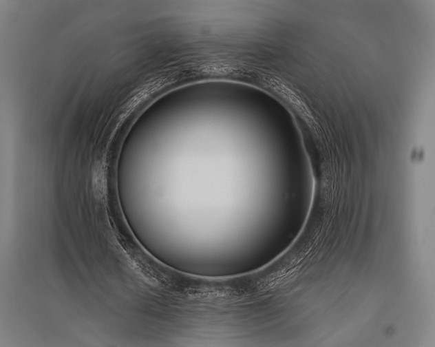 X0000096180626200801181313