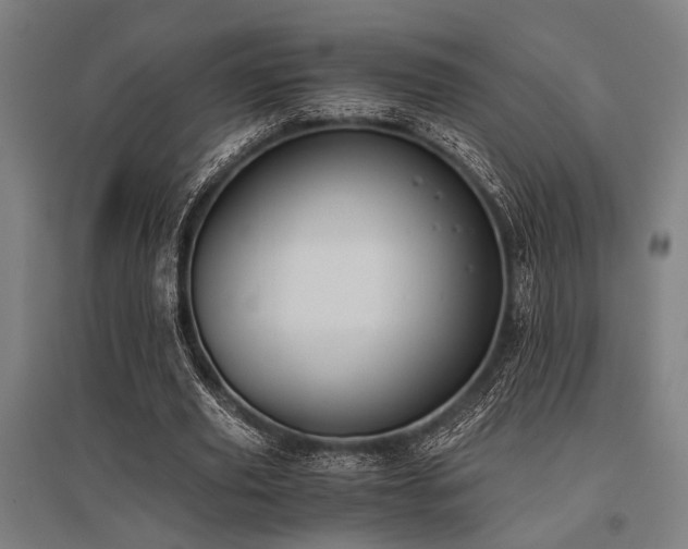 X0000096180629200801181313