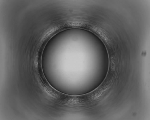X0000096180631200801181313