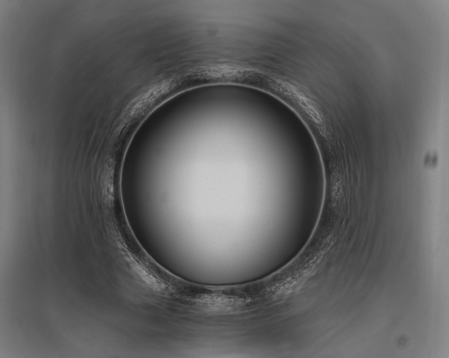 X0000096180633200801181313