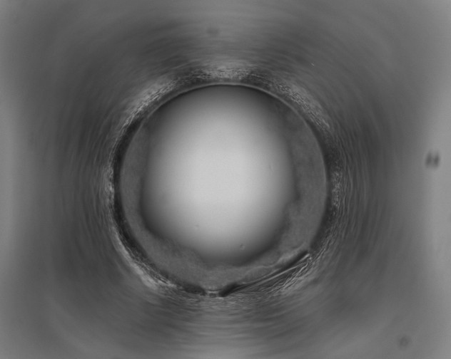 X0000096180634200801181313