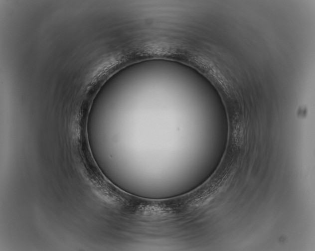 X0000096180635200801181313
