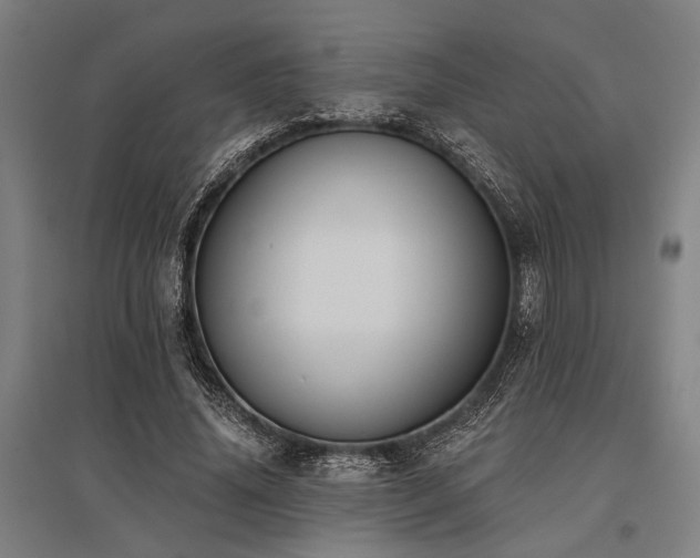 X0000096180636200801181313