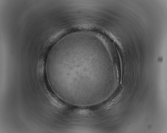 X0000096180637200801181313