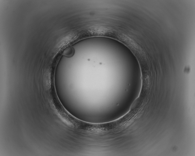 X0000096180638200801181313