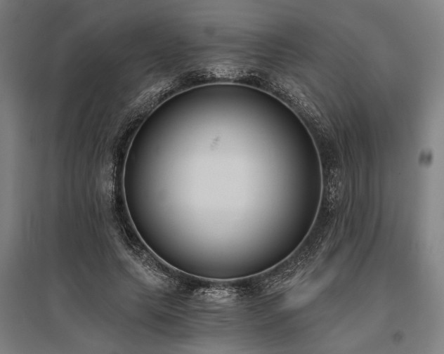 X0000096180639200801181313