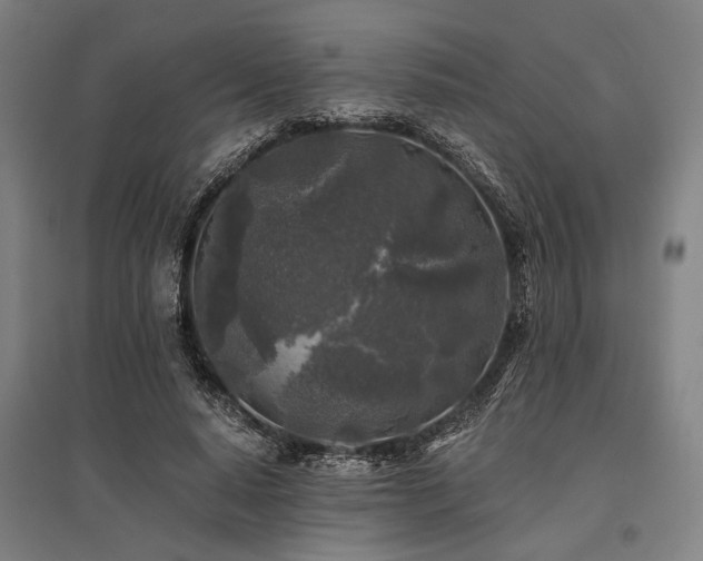 X0000096180640200801181313