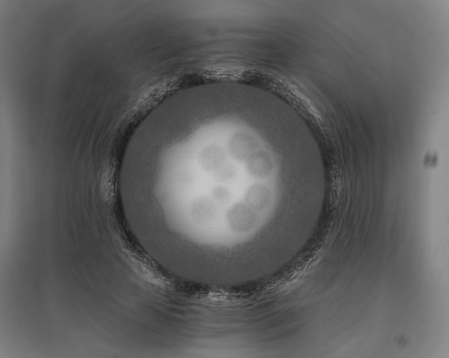 X0000096180641200801181313