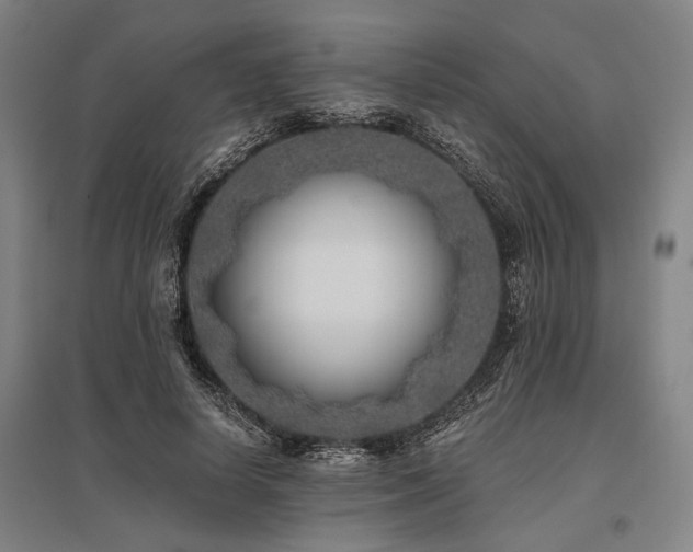 X0000096180642200801181313