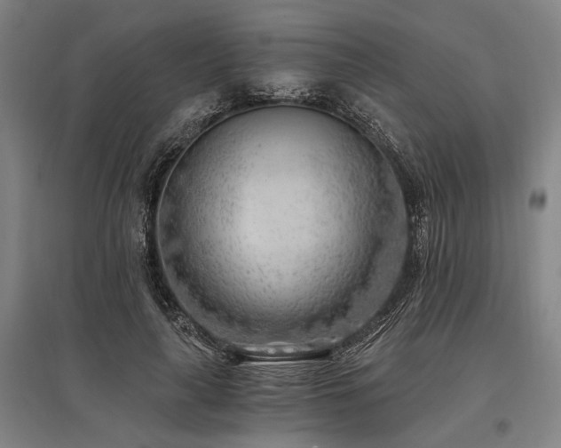 X0000096180643200801181313