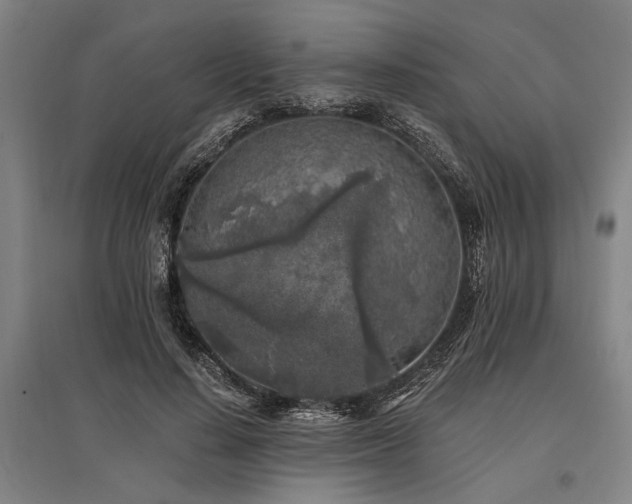 X0000096180644200801181313