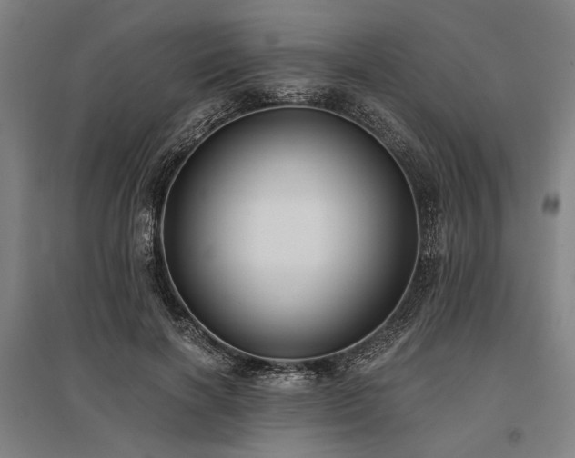 X0000096180646200801181313
