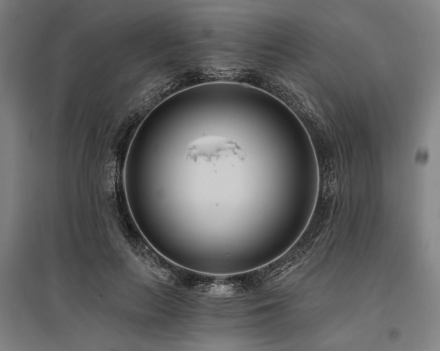 X0000096180647200801181313