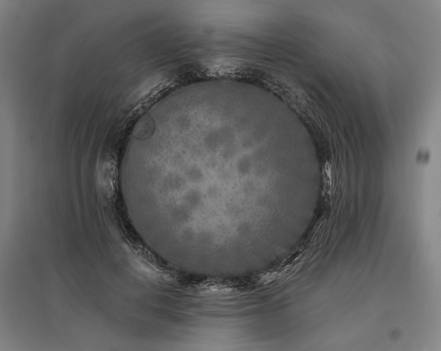 X0000096180648200801181313