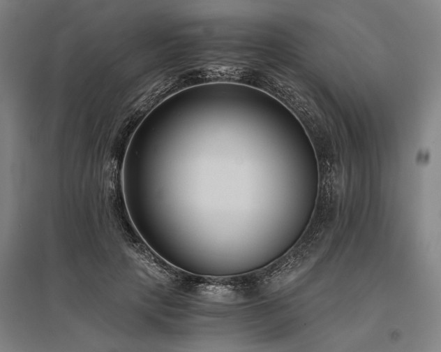 X0000096180649200801181313