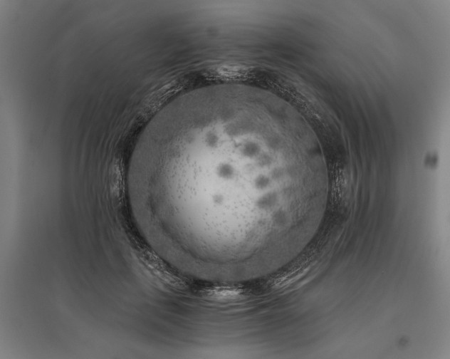 X0000096180651200801181313