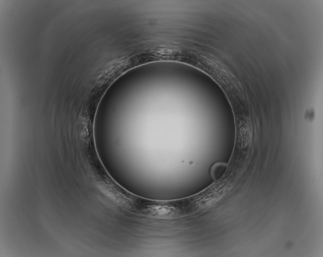 X0000096180654200801181313