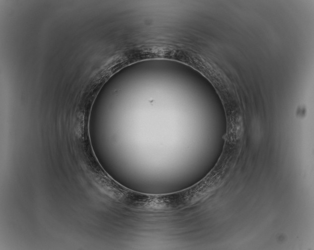 X0000096180656200801181313