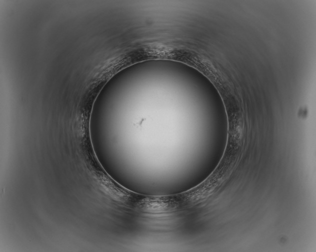 X0000096180658200801181313