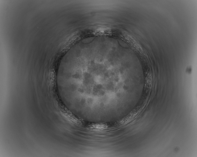 X0000096180659200801181313