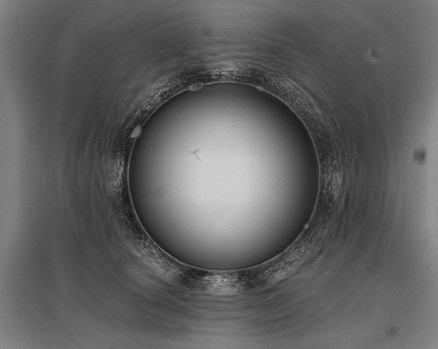 X0000096180660200801181313
