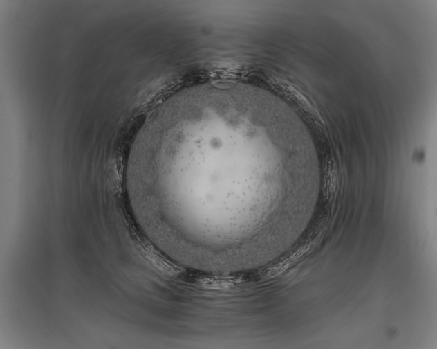X0000096180661200801181313