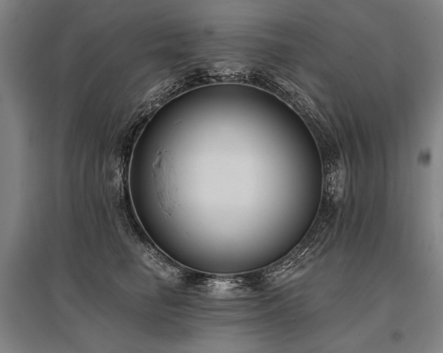 X0000096180662200801181313