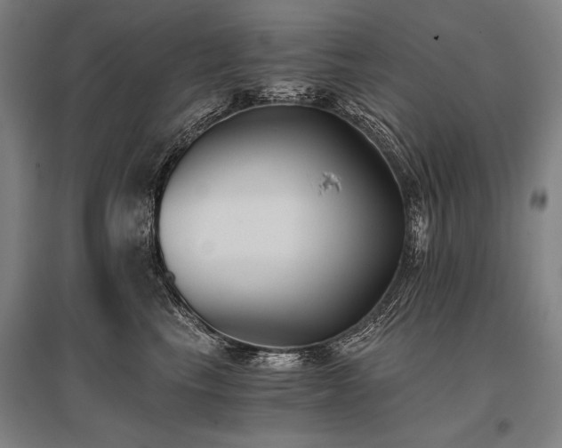 X0000096180665200801181313