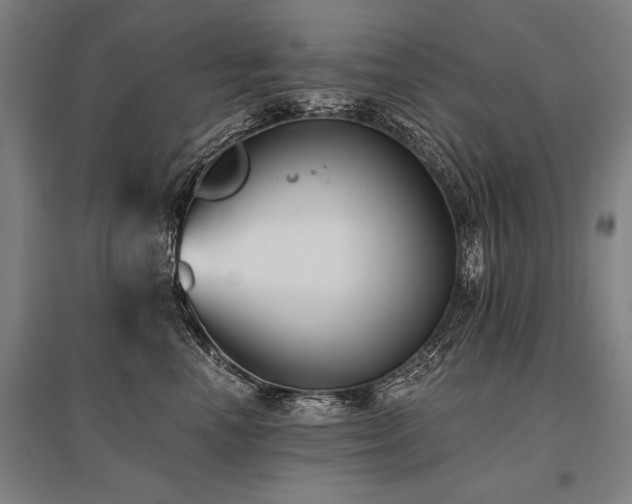 X0000096180666200801181313