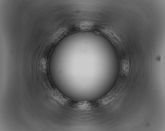 X0000096180667200801181313