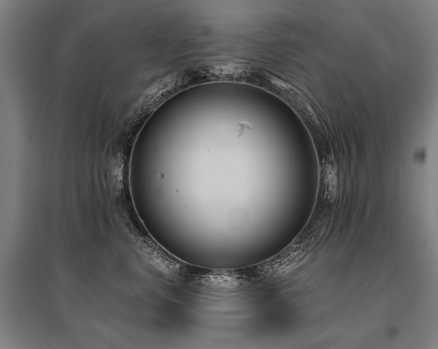 X0000096180668200801181313