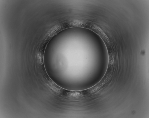 X0000096180669200801181313