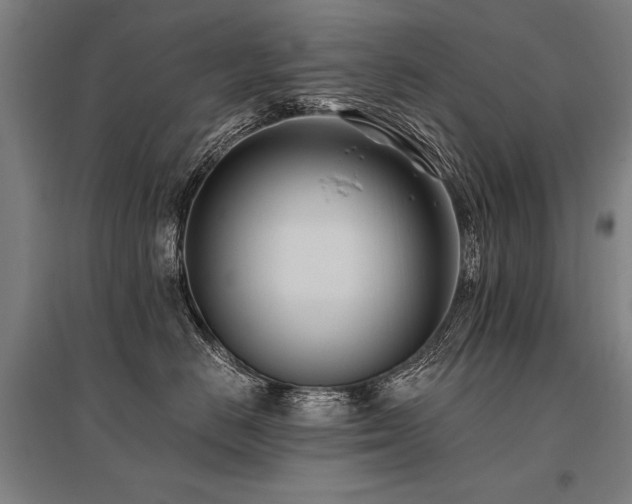 X0000096180670200801181313