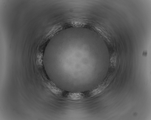 X0000096180671200801181313