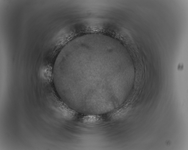 X0000096180672200801181313