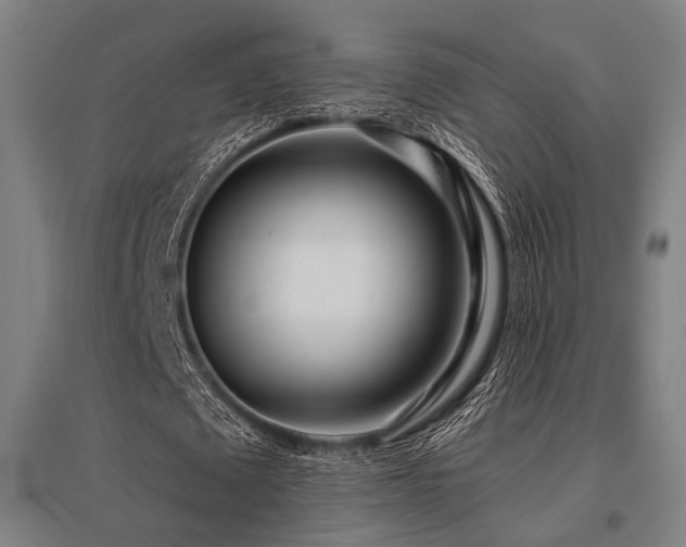 X0000096180673200801181313