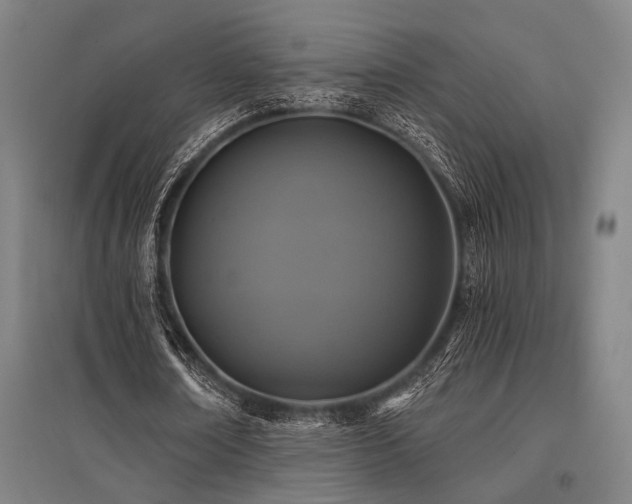 X0000096180674200801181313