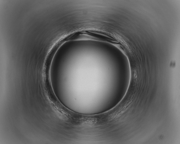 X0000096180676200801181313