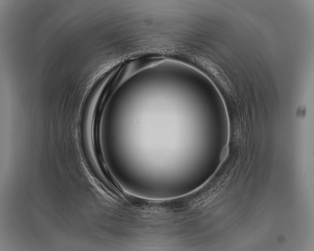 X0000096180677200801181313